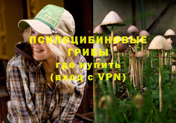 дмт Осташков