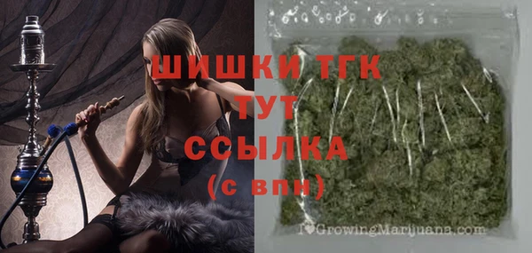 винт Абаза