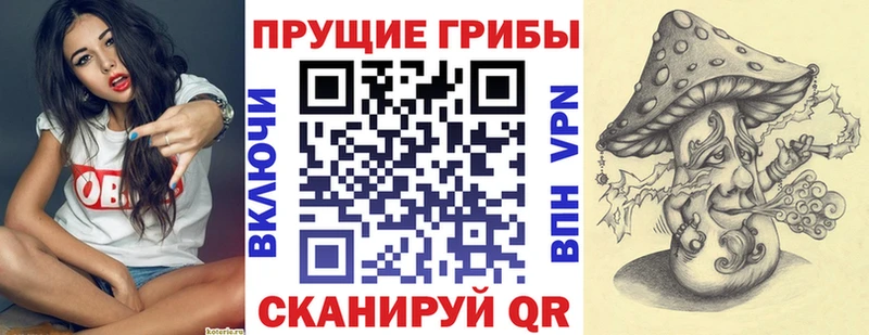 blacksprut   Тайга  Псилоцибиновые грибы прущие грибы 